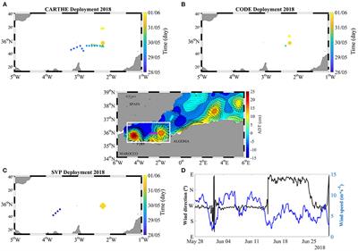 Submesoscale Vorticity and Divergence in the Alboran Sea: Scale and Depth Dependence